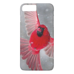 USA, Indiana, Indianapolis. A male cardinal Case-Mate iPhone Case