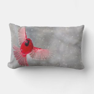USA, Indiana, Indianapolis. A male cardinal Lumbar Cushion