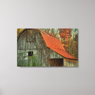 USA, Indiana. rural landscape, vine-covered barn Canvas Print