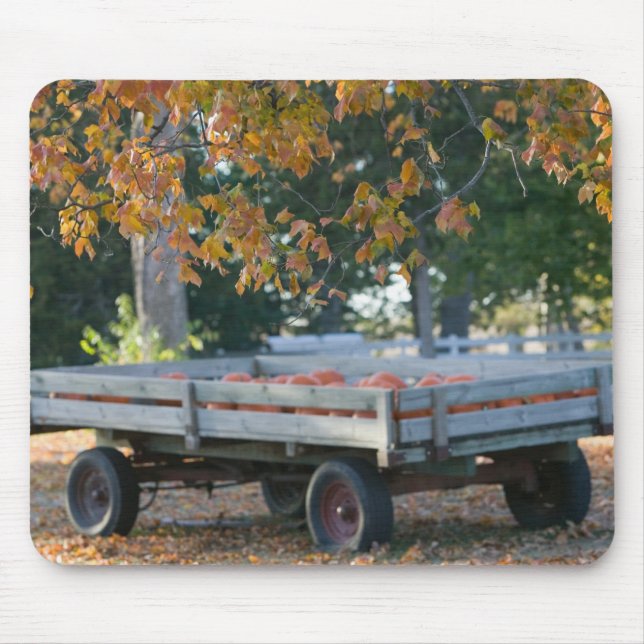 USA, IOWA, Madison County, Winterset: Howell's Mouse Pad (Front)