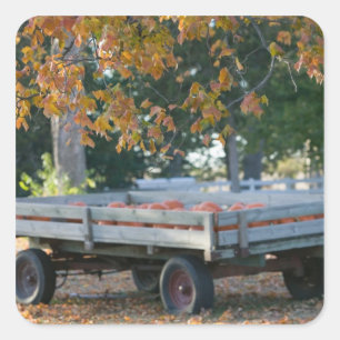 USA, IOWA, Madison County, Winterset: Howell's Square Sticker