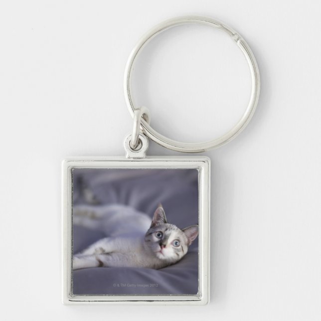 USA, Iowa, Portrait of young kitten 2 Key Ring (Front)