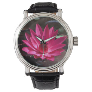 USA, Kansas, Bright Red Water Lilly Watch