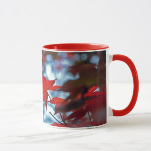 USA, Kansas. Fall Colours Mug