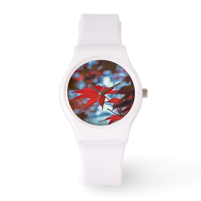 USA, Kansas. Fall Colours Watch (Front)