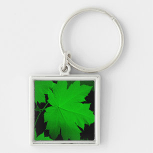 USA, Kansas, Oak Leaves In The Light Key Ring