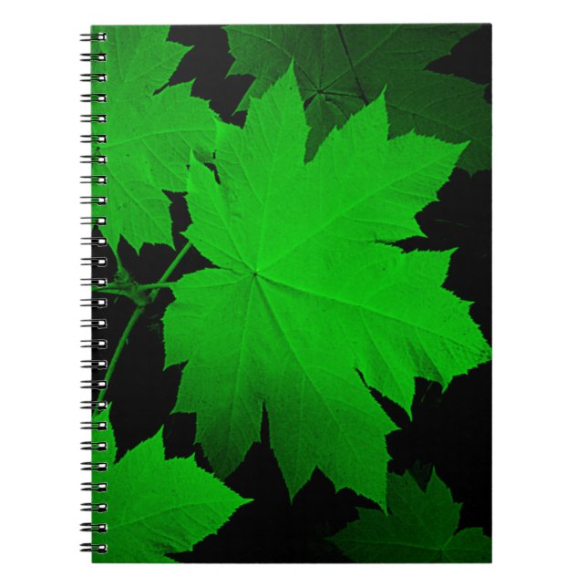 USA, Kansas, Oak Leaves In The Light Notebook (Front)