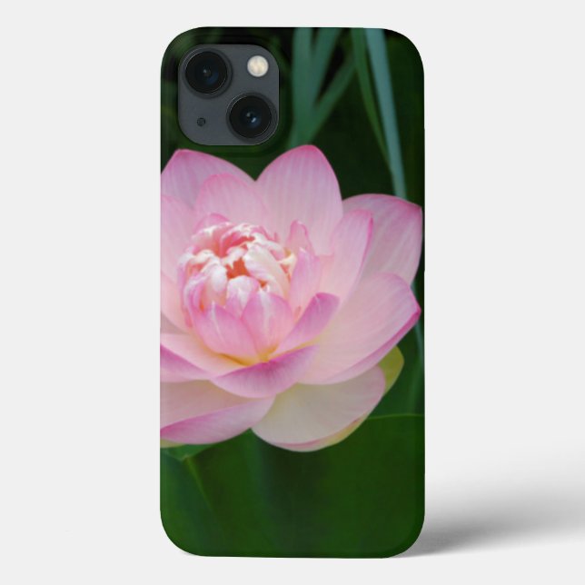 USA, Kansas, Pink Water Lilly Case-Mate iPhone Case (Back)