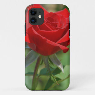 USA, Kansas, Red Rose Case-Mate iPhone Case