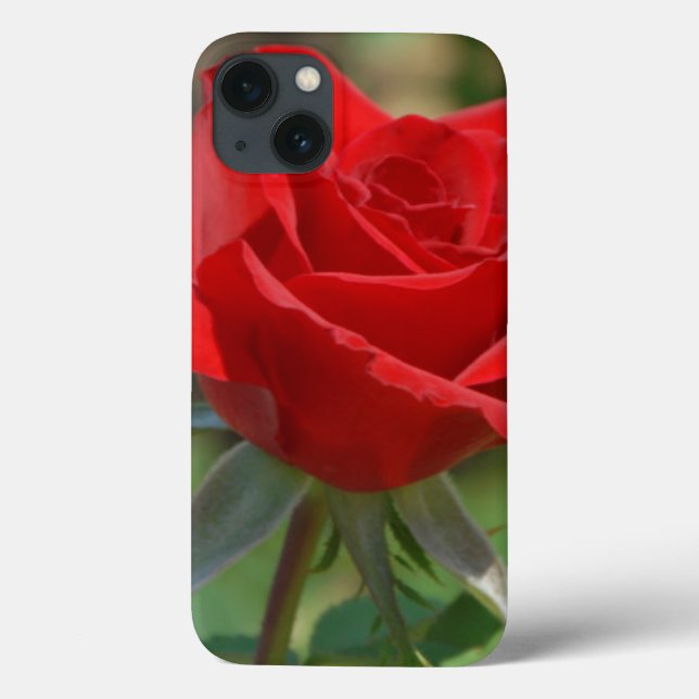 USA, Kansas, Red Rose Case-Mate iPhone Case (Back)