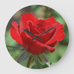 USA, Kansas, Red Rose Large Clock
