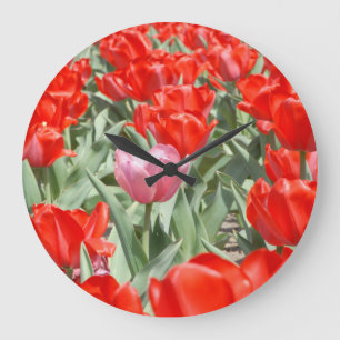 USA, Kansas, Red Tulips With One Pink Tulip Large Clock