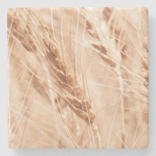 USA, Kansas, Wheat At Harvest Time Stone Coaster