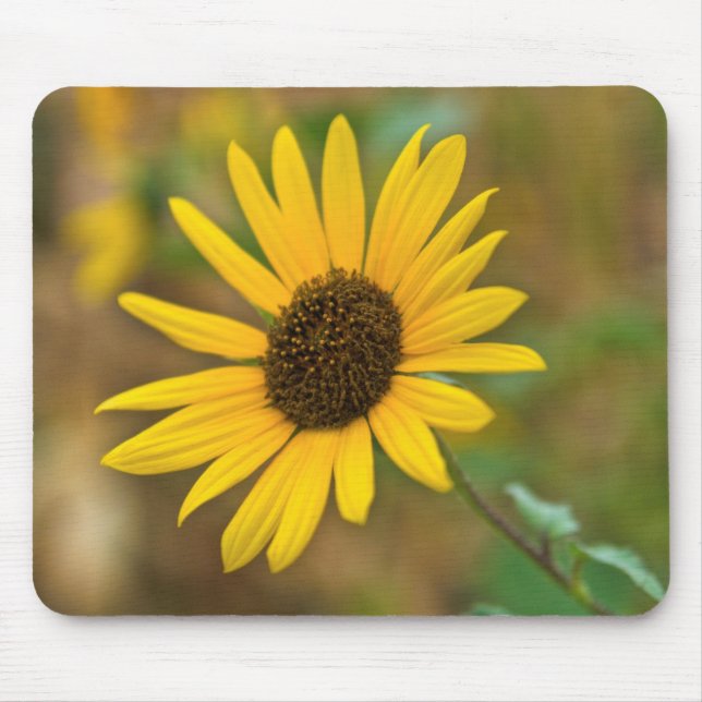 USA, Kansas. Wild Sunflower Mouse Pad (Front)