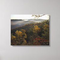 USA, Kentucky. Daniel Boone National Forest.