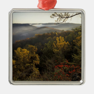 USA, Kentucky. Daniel Boone National Forest. Metal Tree Decoration