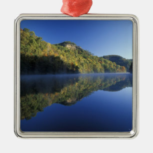 USA, Kentucky. Daniel Boone National Forest, Metal Tree Decoration
