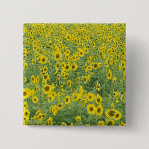 USA, Kentucky, Fayette County Pattern in field 15 Cm Square Badge