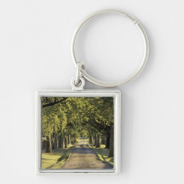 USA, Kentucky, Lexington. Tree-lined driveway, Key Ring (Front)