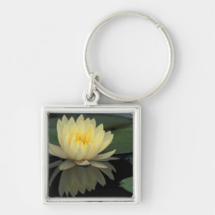 USA, Kentucky, Louisville Domestic water lily, Key Ring