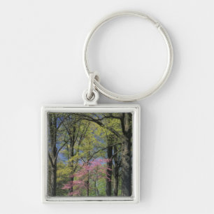 USA, Kentucky, Louisville. Eastern Redbud Key Ring