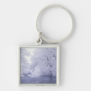 USA, Kentucky, Louisville. Snow covered Key Ring