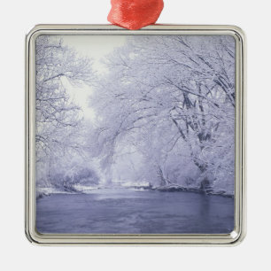 USA, Kentucky, Louisville. Snow covered Metal Tree Decoration
