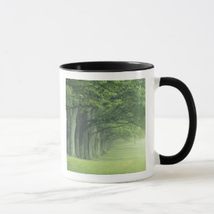 USA, Kentucky. Row of trees in spring Mug