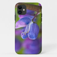 USA, Maine, Acadia National Park. Close-up of