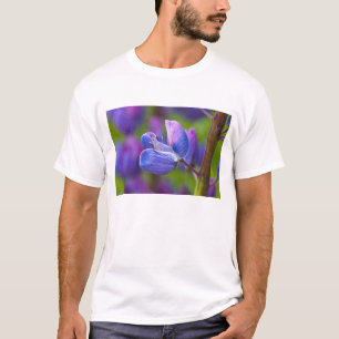 USA, Maine, Acadia National Park. Close-up of T-Shirt