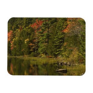 USA; Maine; Acadia NP. Fall reflections at 2 Magnet