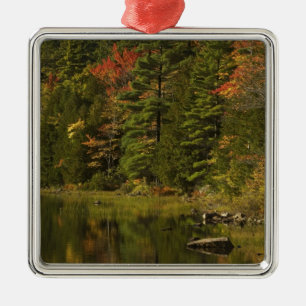 USA; Maine; Acadia NP. Fall reflections at 2 Metal Tree Decoration