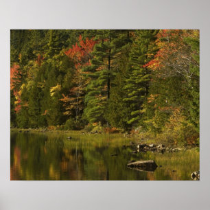USA; Maine; Acadia NP. Fall reflections at 2 Poster