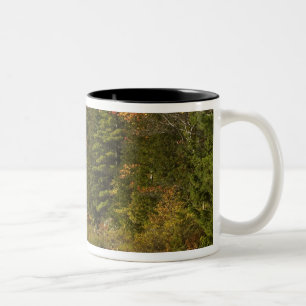 USA; Maine; Acadia NP. Fall reflections at 2 Two-Tone Coffee Mug