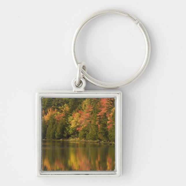 USA; Maine; Acadia NP. Fall reflections at Key Ring (Front)