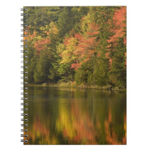 USA; Maine; Acadia NP. Fall reflections at Notebook