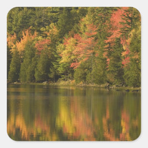 USA; Maine; Acadia NP. Fall reflections at Square Sticker