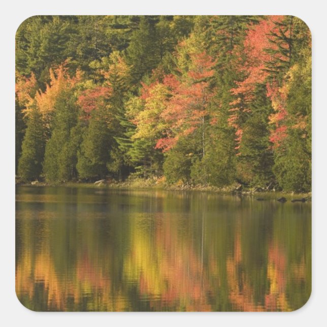 USA; Maine; Acadia NP. Fall reflections at Square Sticker (Front)