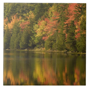 USA; Maine; Acadia NP. Fall reflections at Tile