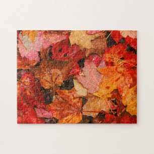 USA, Maine. Autumn maple leaves Jigsaw Puzzle