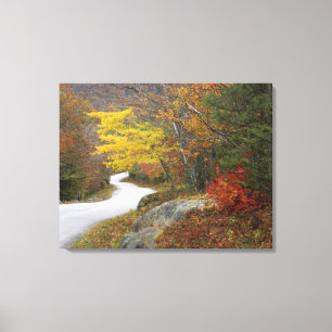 USA, Maine, Camden. Road leading through Camden Canvas Print