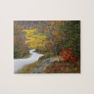 USA, Maine, Camden. Road leading through Camden Jigsaw Puzzle