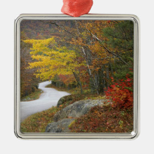USA, Maine, Camden. Road leading through Camden Metal Tree Decoration
