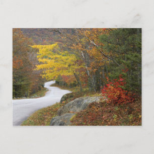 USA, Maine, Camden. Road leading through Camden Postcard