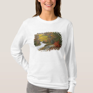 USA, Maine, Camden. Road leading through Camden T-Shirt