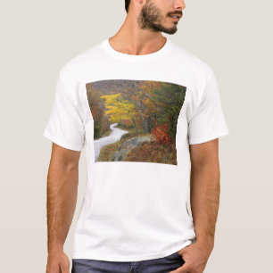 USA, Maine, Camden. Road leading through Camden T-Shirt