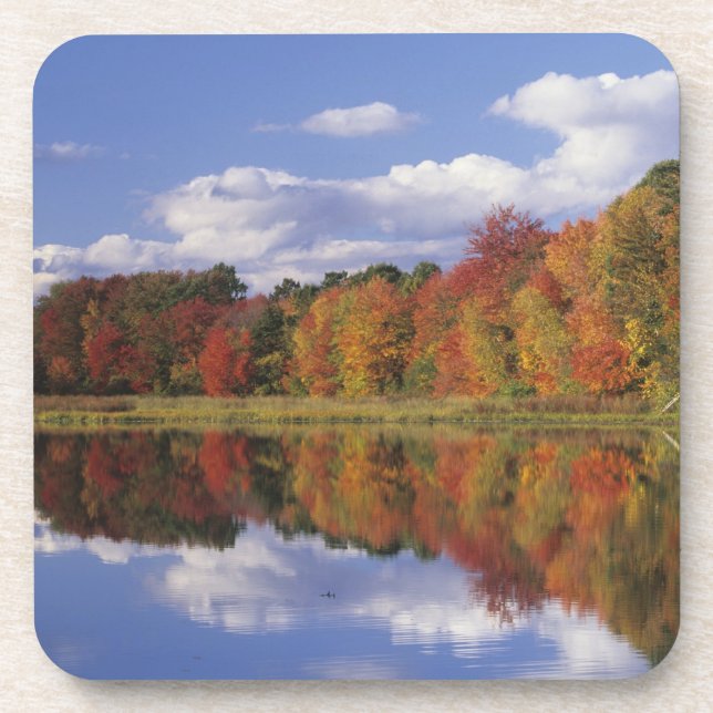 USA, Massachusetts, Acton. Reflection of autumn Coaster (Front)