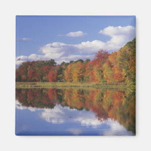 USA, Massachusetts, Acton. Reflection of autumn Magnet