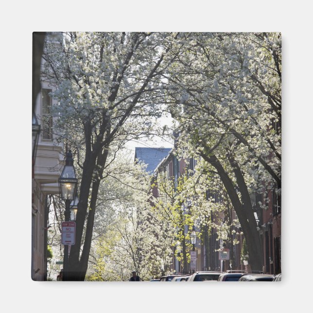 USA, Massachusetts, Boston, Beacon Hill. Magnet (Front)