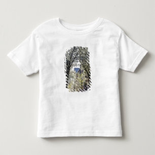 USA, Massachusetts, Boston, Beacon Hill. Toddler T-Shirt